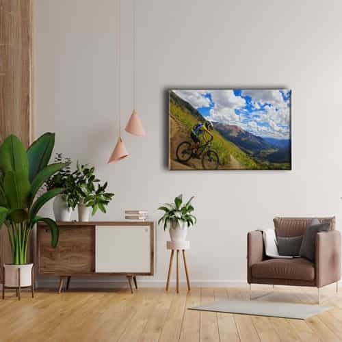 Dağ Bisikleti Canvas Tablo 