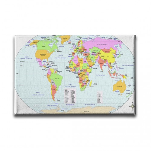 Dünya Siyasi Haritası Canvas Tablo