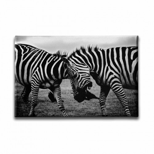 Zebra Kanvas Tablo 