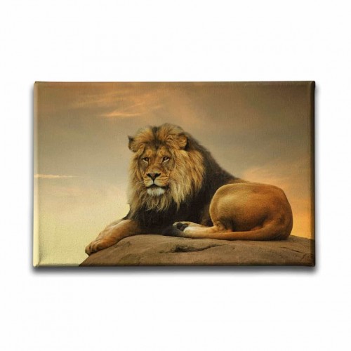 Aslan Kanvas Tablo  Aslan Kanvas Tablo