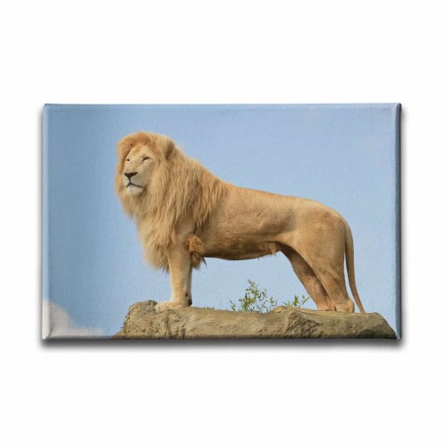 Aslan Kanvas Tablo  Aslan Kanvas Tablo