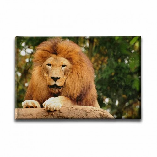 Aslan Kanvas Tablo  Aslan Kanvas Tablo