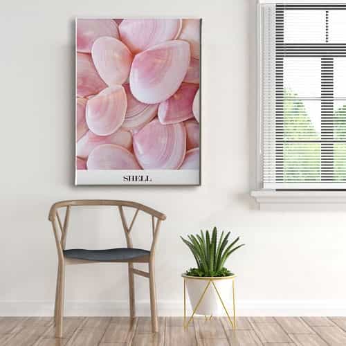Shell Canvas Tablo