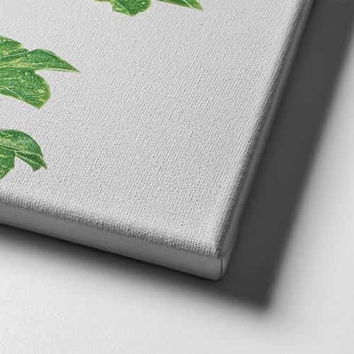 Botanik Canvas Tablo