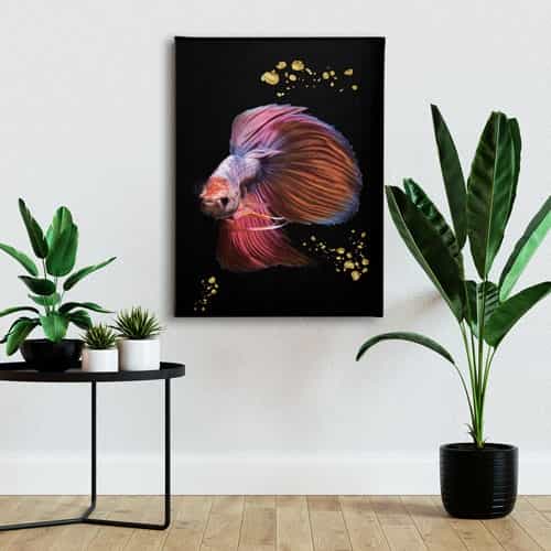 Modern Balık Canvas Tablo