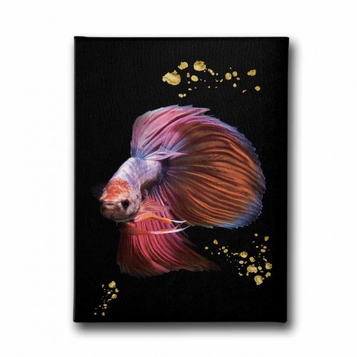 Modern Balık Canvas Tablo
