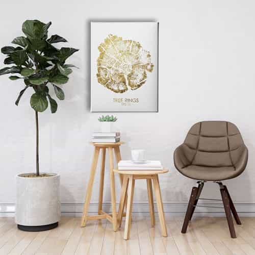 Ağaç Kökü Canvas Tablo 