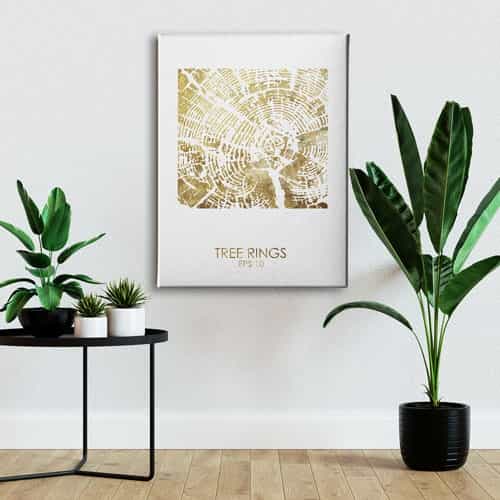 Ağaç Kökü Canvas Tablo 