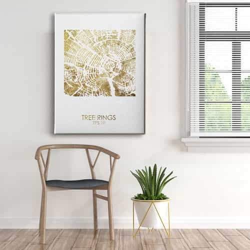 Ağaç Kökü Canvas Tablo 