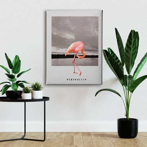Flamingo Canvas Tablo 