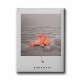 Flamingo Canvas Tablo Flamingo Canvas Tablo
