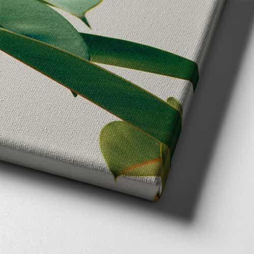 Must Have Canvas Tablo 