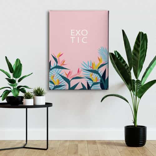 Exotıc Canvas Tablo 
