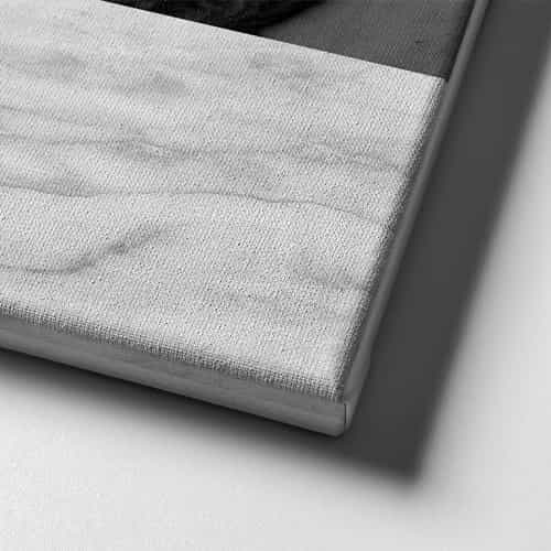 Geyikli Canvas Tablo 