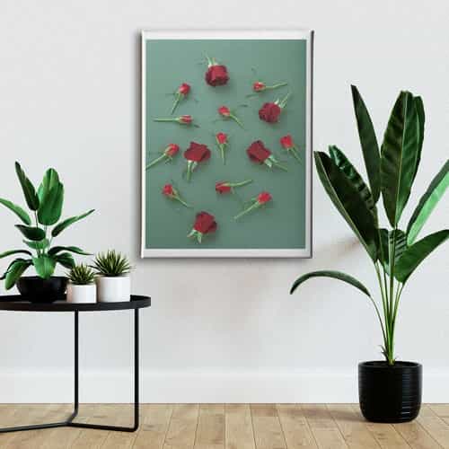 Gül Canvas Tablo 
