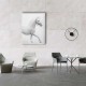 Beyaz At Canvas Tablo 