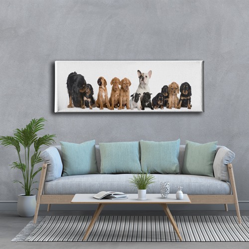 Köpekler Panoramik Kanvas Tablo