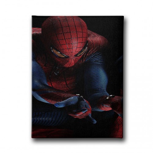 Spiderman Çocuk Kanvas Tablo